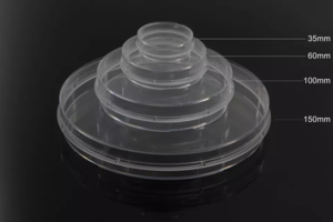 Petri Dishes